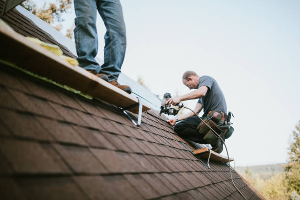 Best Roof Leak Repair  in Robertsde, AL